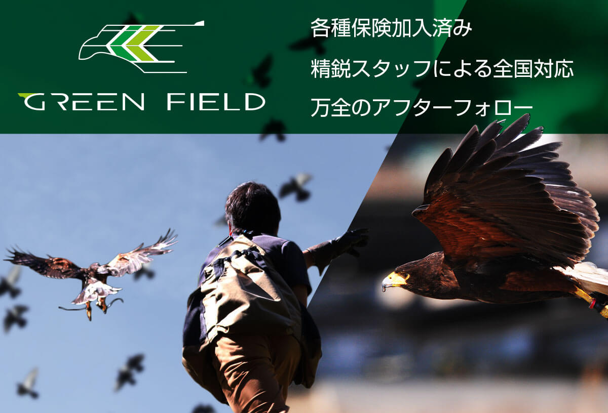 福岡営業所 害鳥駆除 捕獲 防除は鷹匠集団グリーンフィールド